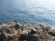 ファイル 1276-1.jpg