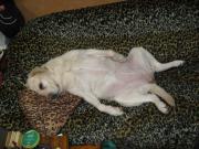 ファイル 1278-1.jpg