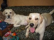 ファイル 1278-2.jpg