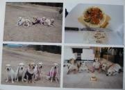 ファイル 1279-1.jpg