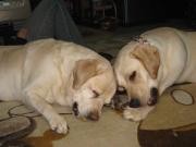 ファイル 1279-3.jpg