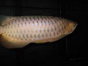 ファイル 1280-3.jpg