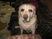 ファイル 1282-1.jpg