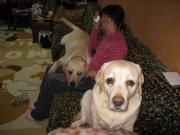 ファイル 1282-2.jpg