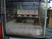 ファイル 1287-1.jpg