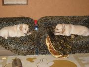 ファイル 1288-5.jpg