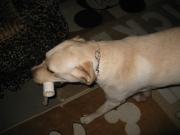 ファイル 1289-2.jpg