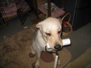 ファイル 1289-3.jpg