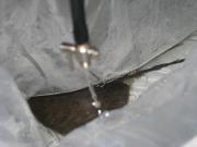 ファイル 1295-2.jpg