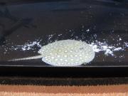 ファイル 1295-3.jpg