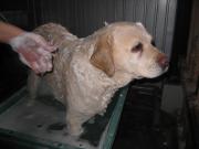 ファイル 1297-3.jpg