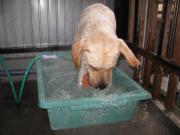 ファイル 1297-5.jpg