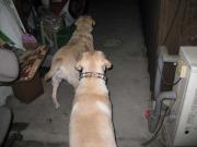 ファイル 1298-1.jpg