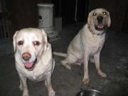 ファイル 1298-4.jpg