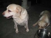 ファイル 1298-5.jpg