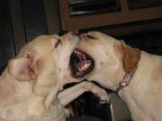 ファイル 1299-3.jpg