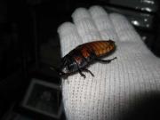 ファイル 1301-3.jpg