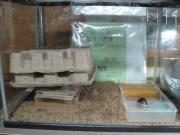 ファイル 1302-1.jpg