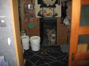 ファイル 1302-2.jpg