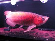 ファイル 1303-3.jpg