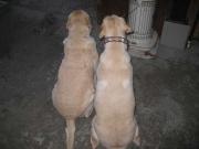 ファイル 1304-1.jpg