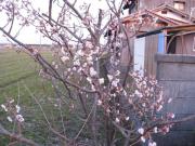 ファイル 1304-2.jpg