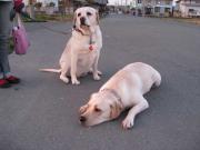 ファイル 1304-3.jpg