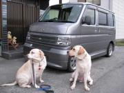 ファイル 1306-2.jpg