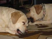 ファイル 1306-3.jpg