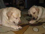 ファイル 1306-4.jpg