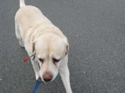 ファイル 1309-2.jpg