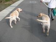 ファイル 1309-4.jpg