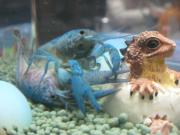 ファイル 1312-2.jpg