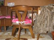 ファイル 1313-2.jpg