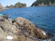 ファイル 1314-2.jpg