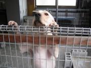 ファイル 1316-5.jpg