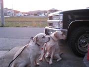 ファイル 1318-2.jpg