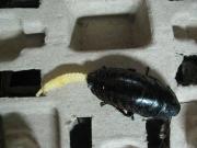 ファイル 1320-2.jpg