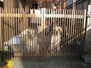 ファイル 1323-3.jpg