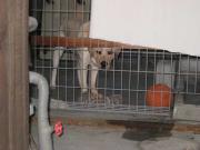 ファイル 1325-1.jpg