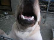 ファイル 1325-3.jpg