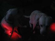 ファイル 1325-5.jpg