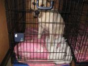 ファイル 1326-1.jpg