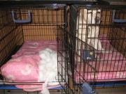 ファイル 1326-3.jpg