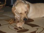 ファイル 1327-1.jpg