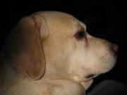 ファイル 1327-2.jpg