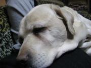 ファイル 1327-3.jpg