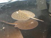 ファイル 1328-2.jpg