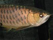 ファイル 1328-4.jpg