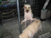 ファイル 1329-3.jpg